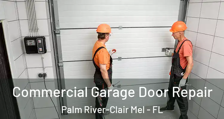  Commercial Garage Door Repair Palm River-Clair Mel - FL