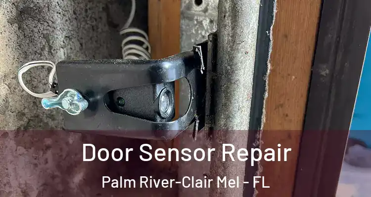 Door Sensor Repair Palm River-Clair Mel - FL