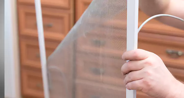 Privacy Mesh Screen Door Installation in Palm River-Clair Mel, FL