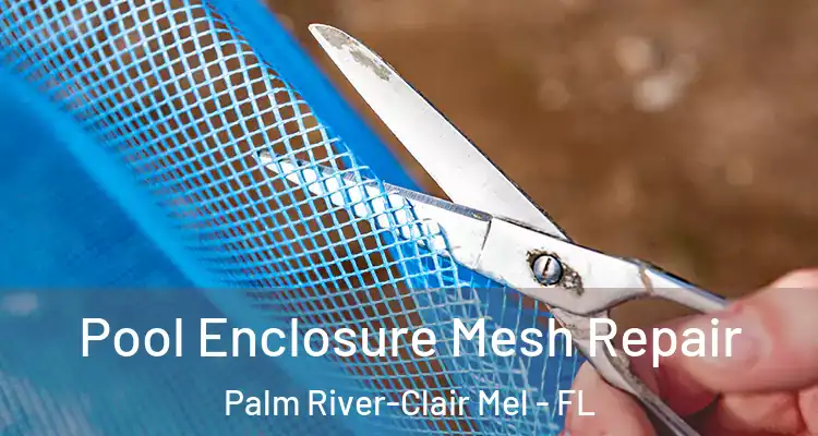  Pool Enclosure Mesh Repair Palm River-Clair Mel - FL