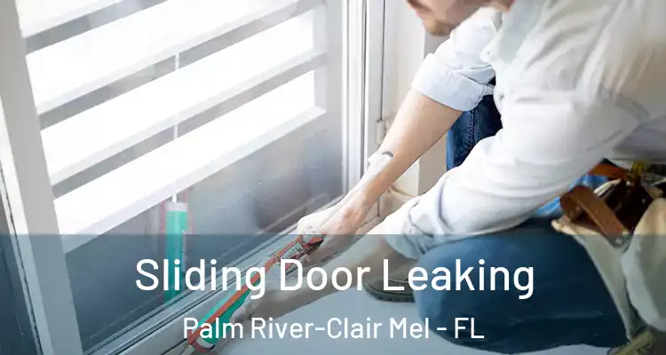  Sliding Door Leaking Palm River-Clair Mel - FL