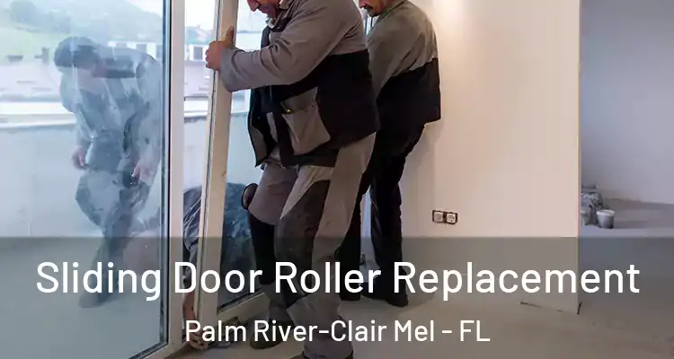  Sliding Door Roller Replacement Palm River-Clair Mel - FL